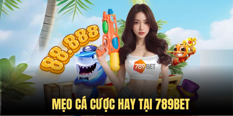 gioi-thieu-789bet-meo-ca-cuoc