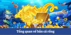 Tổng quan về săn cá rồng nổi bật