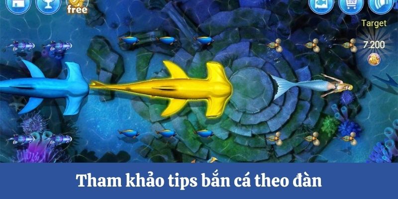 Tham khảo tips bắn cá theo đàn