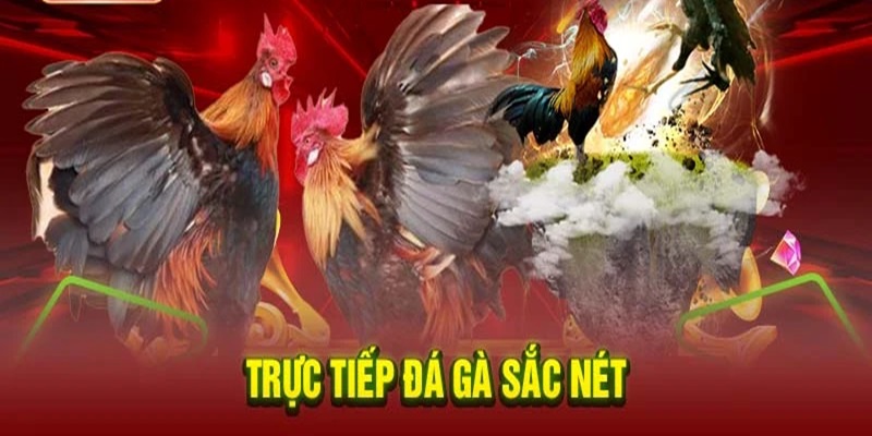 Hình ảnh âm thanh như ngoài đấu trường thực thụ