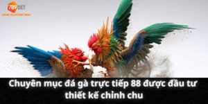 Chuyên mục đá gà trực tiếp 88 được đầu tư thiết kế chỉnh chu