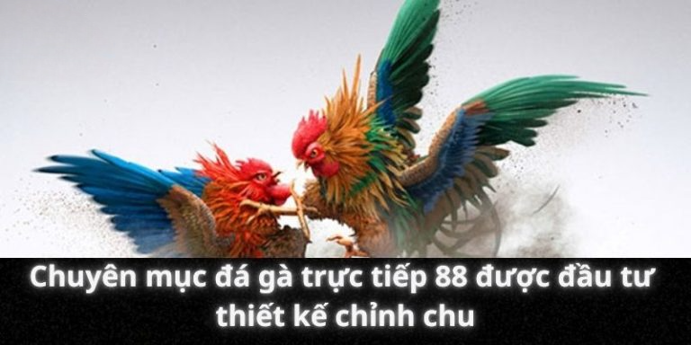 Chuyên mục đá gà trực tiếp 88 được đầu tư thiết kế chỉnh chu