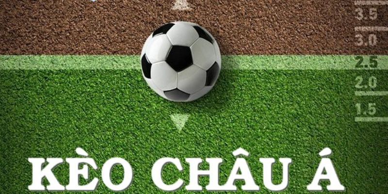 Kèo Châu Á đa dạng mức độ cho người chơi lựa chọn